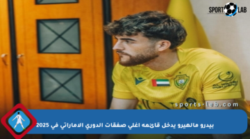 بيدرو مالهيرو يدخل قائمة أغلى صفقات الدوري الإماراتي في 2025
